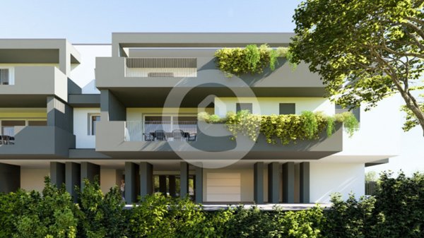 appartamento in vendita a Borgoricco