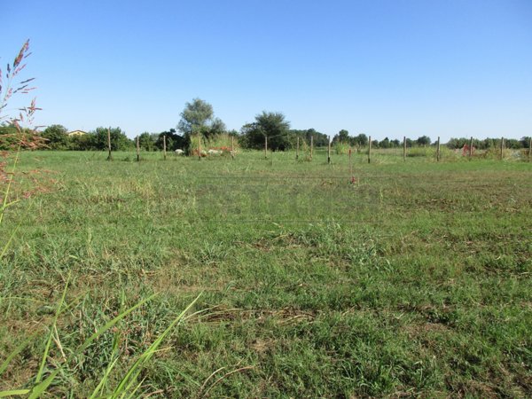 appartamento in vendita a Borgoricco in zona San Michele delle Badesse