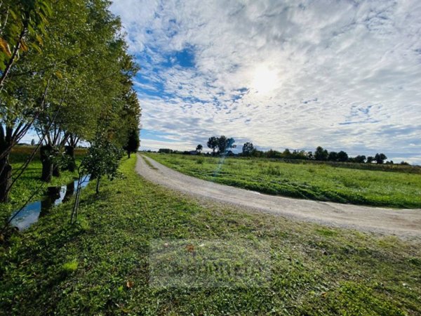terreno agricolo in vendita a Borgoricco