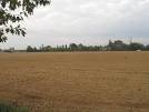 terreno in vendita a Borgoricco