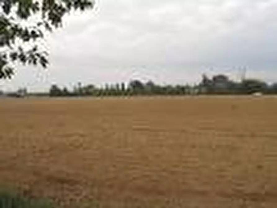 terreno in vendita a Borgoricco