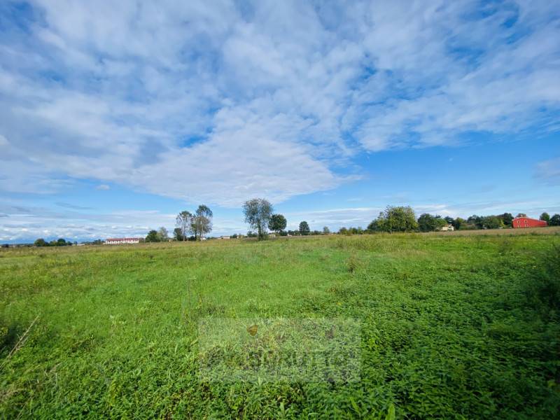terreno in vendita a Borgoricco in zona San Michele delle Badesse