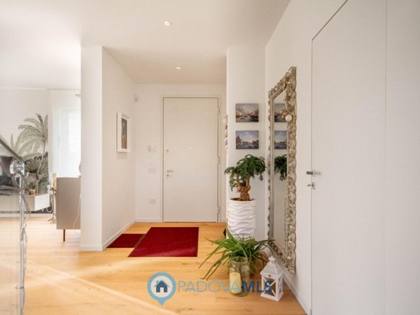casa indipendente in vendita a Borgoricco