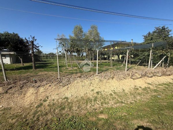 terreno in vendita a Borgoricco in zona San Michele delle Badesse