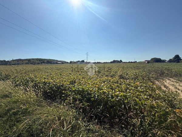 terreno in vendita a Borgoricco