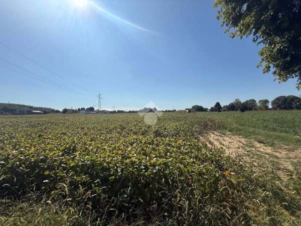 terreno in vendita a Borgoricco in zona San Michele delle Badesse