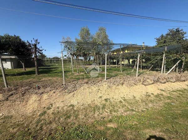 terreno in vendita a Borgoricco in zona San Michele delle Badesse