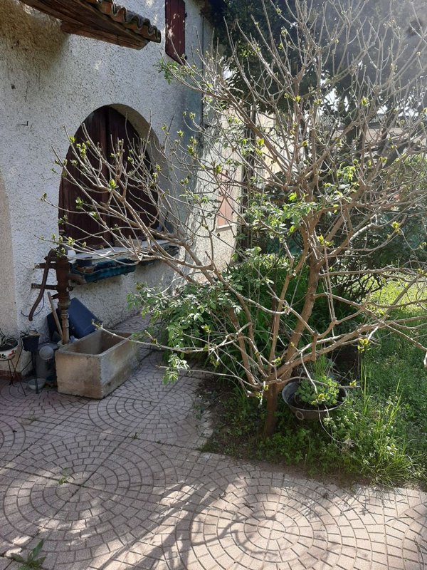 casa indipendente in vendita a Borgoricco in zona San Michele delle Badesse
