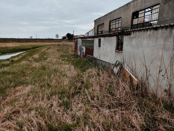 terreno agricolo in vendita a Bovolenta