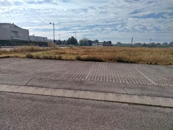 terreno agricolo in vendita a Bovolenta