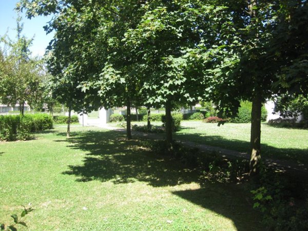 appartamento in vendita a Bovolenta