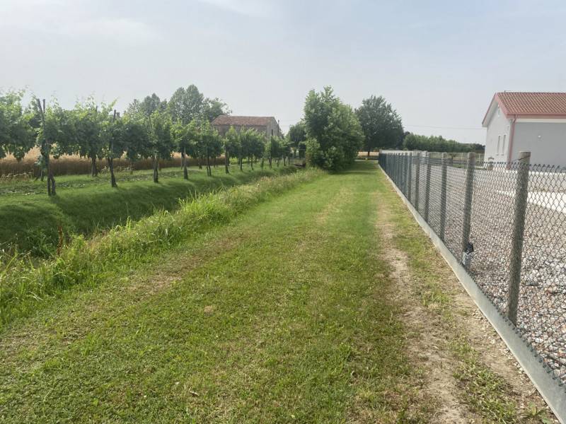 casa indipendente in vendita a Brugine