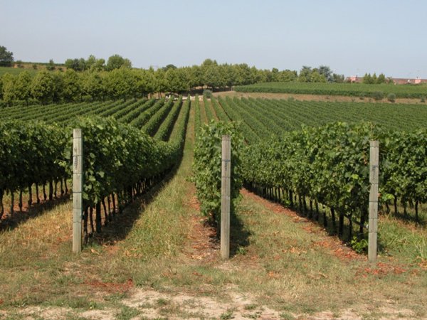casa indipendente in vendita a Brugine in zona Campagnola