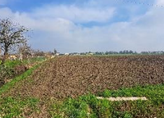 terreno agricolo in vendita a Brugine in zona Campagnola