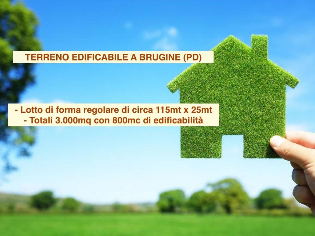 terreno agricolo in vendita a Brugine