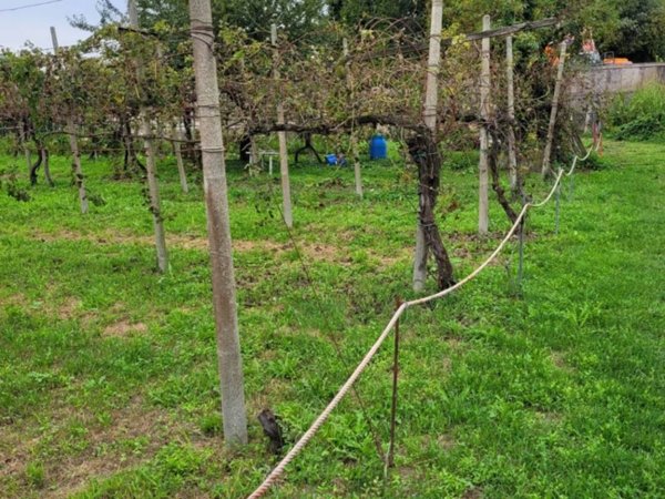 terreno edificabile in vendita a Cadoneghe in zona Mejaniga