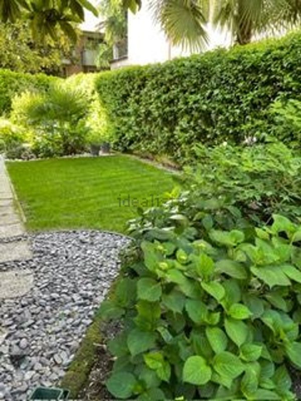 casa indipendente in vendita a Cadoneghe