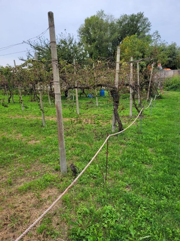 ufficio in vendita a Cadoneghe