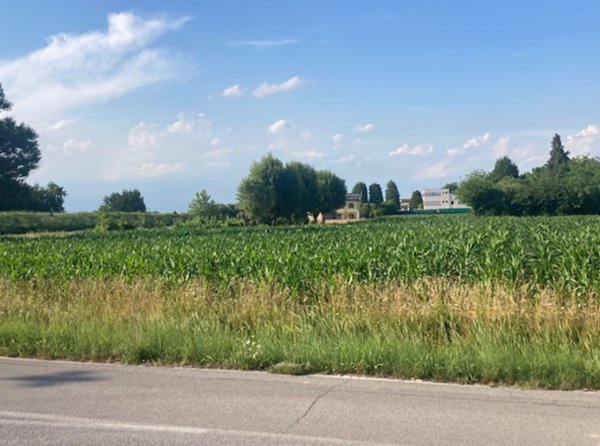 terreno agricolo in vendita a Cadoneghe in zona Bragni