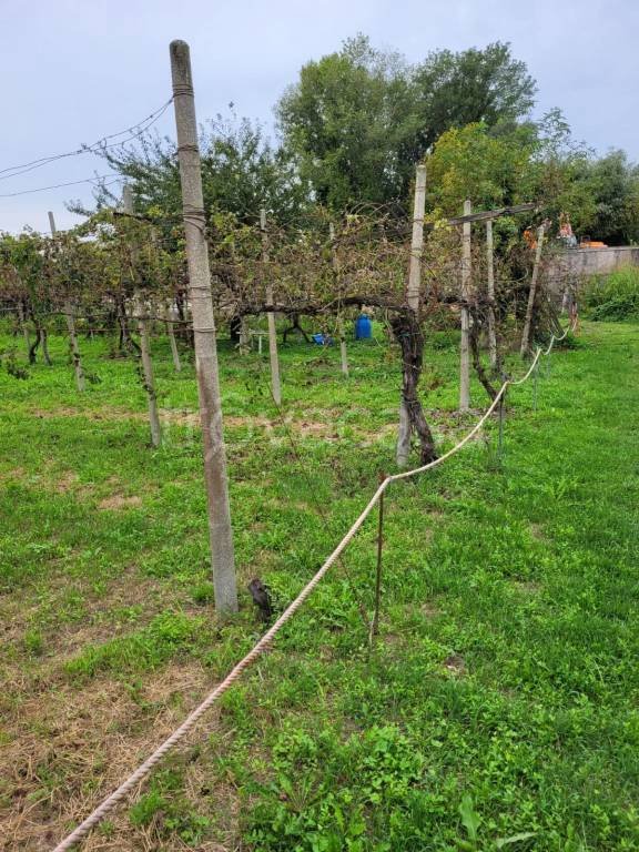 terreno in vendita a Cadoneghe
