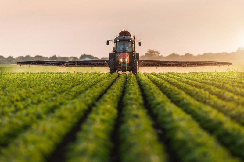 terreno agricolo in vendita a Campodarsego