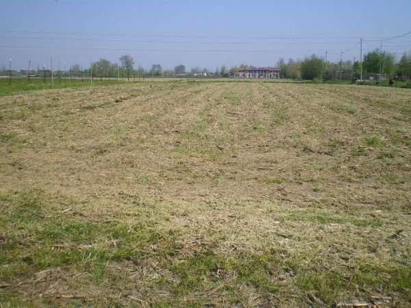 terreno edificabile in vendita a Campodarsego in zona Fiumicello