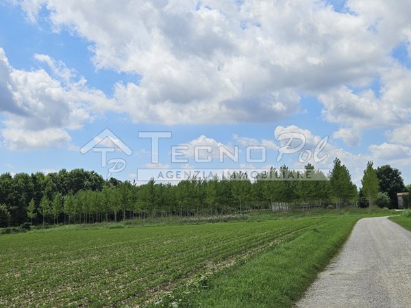 terreno agricolo in vendita a Campodarsego in zona Sant'Andrea