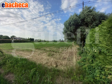 casa indipendente in vendita a Campodarsego in zona Fiumicello