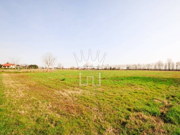 terreno agricolo in vendita a Campodarsego