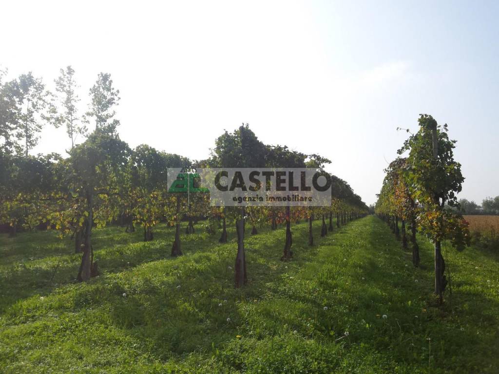 terreno edificabile in vendita a Campodarsego