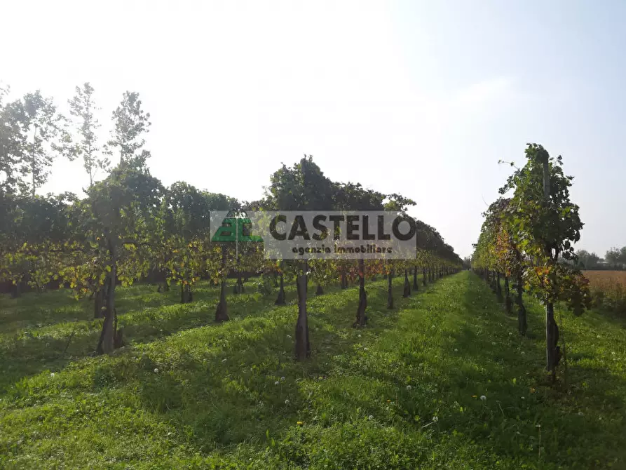 mansarda in vendita a Campodarsego