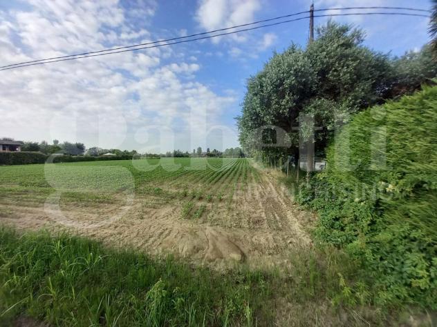 casa indipendente in vendita a Campodarsego in zona Fiumicello