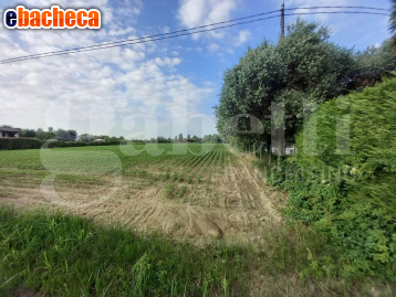 casa indipendente in vendita a Campodarsego in zona Fiumicello
