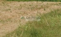 terreno edificabile in vendita a Campodarsego in zona Fiumicello