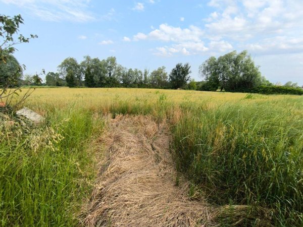terreno agricolo in vendita a Campodarsego