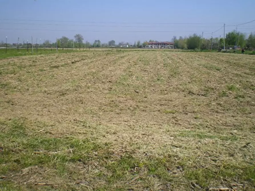 terreno edificabile in vendita a Campodarsego in zona Fiumicello
