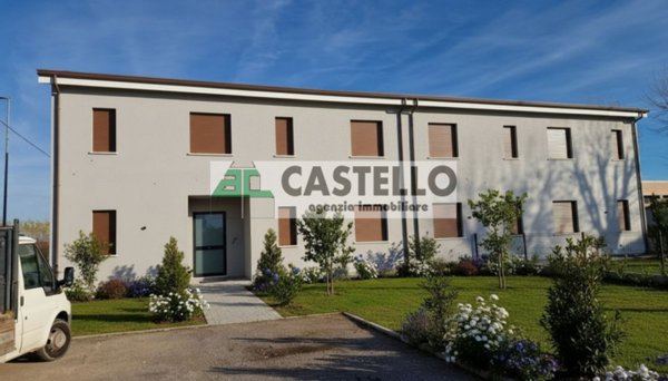 casa indipendente in vendita a Campodarsego