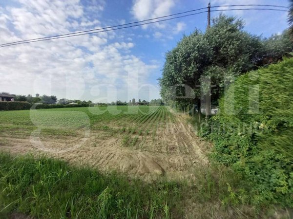 terreno agricolo in vendita a Campodarsego in zona Fiumicello