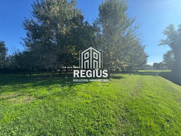 terreno agricolo in vendita a Campodarsego