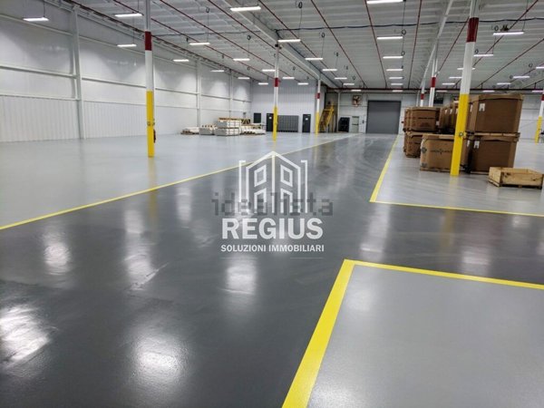 capannone in vendita a Campodarsego