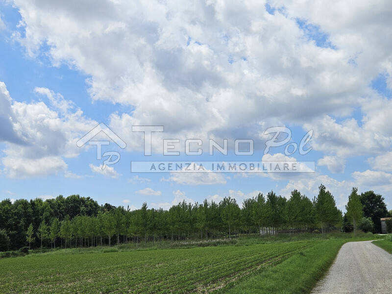 terreno agricolo in vendita a Campodarsego in zona Sant'Andrea