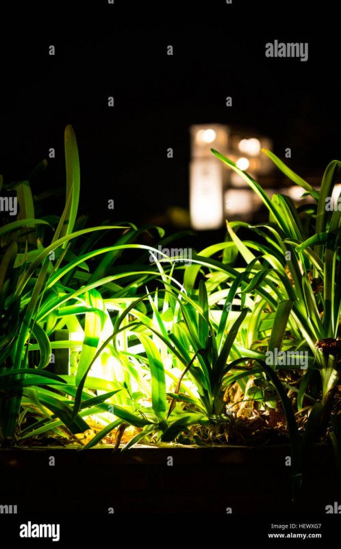 appartamento in vendita a Campodarsego