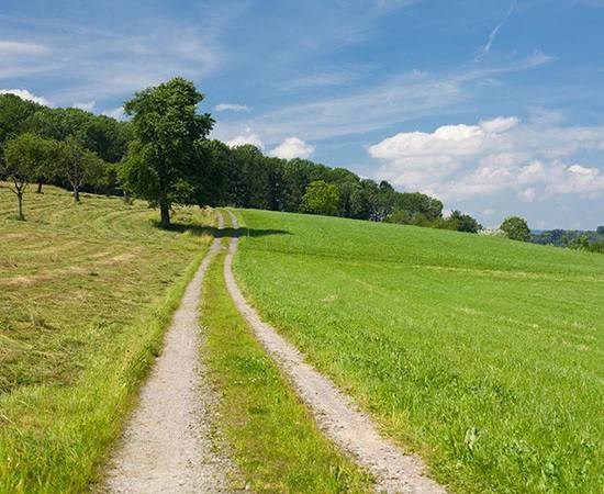 appartamento in vendita a Campodarsego