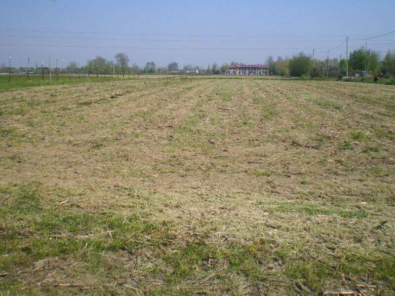 terreno edificabile in vendita a Campodarsego in zona Fiumicello