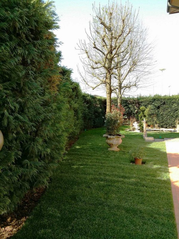 casa indipendente in vendita a Campodarsego