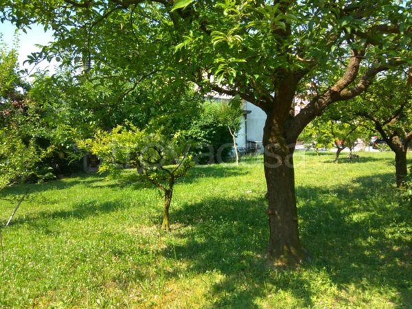 terreno agricolo in vendita a Campodarsego