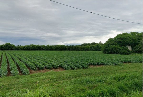 casale in vendita a Campodarsego
