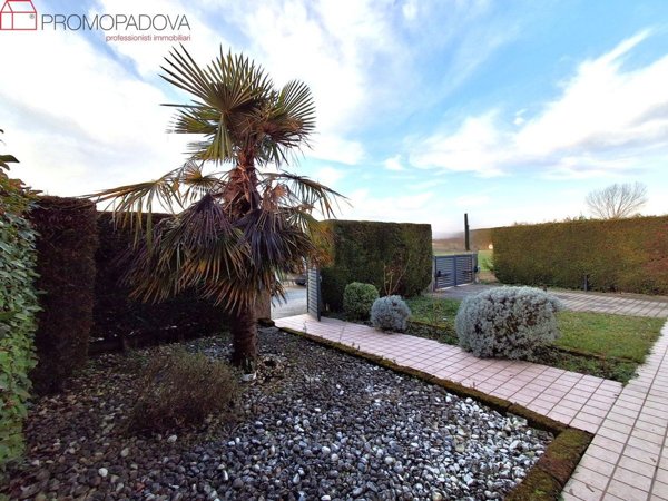 casa indipendente in vendita a Campodarsego
