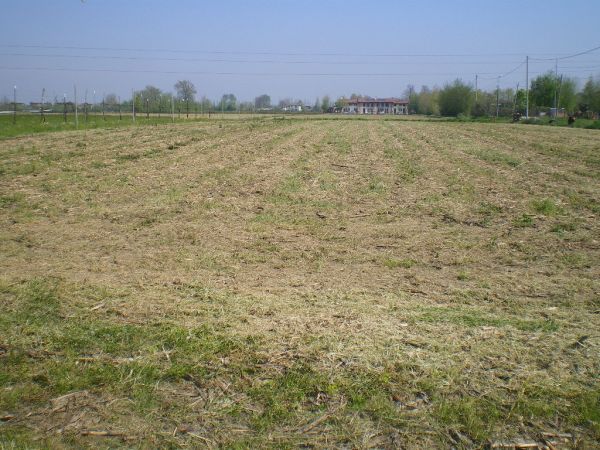 terreno edificabile in vendita a Campodarsego in zona Fiumicello