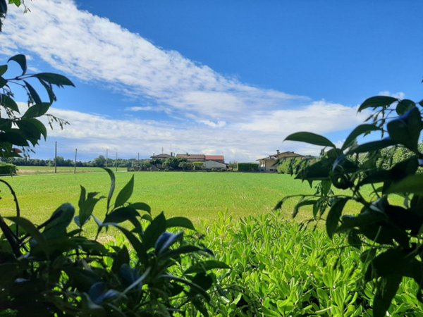 appartamento in vendita a Campodarsego in zona Bronzola